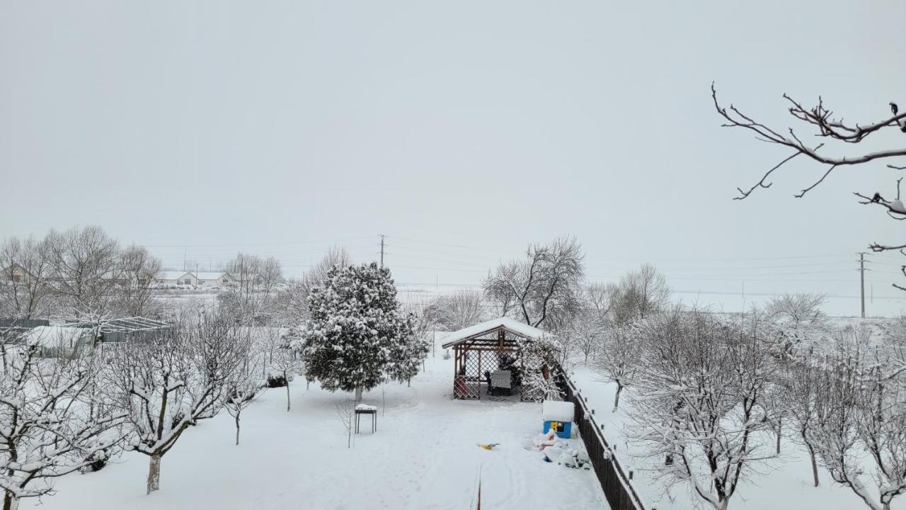 RîşnovCasa Dana别墅 外观 照片